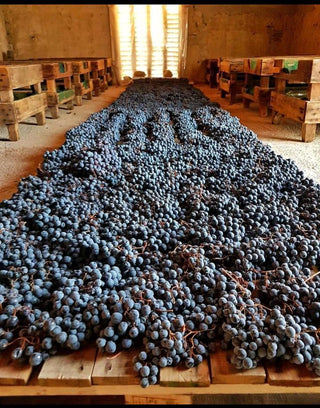 Uve Nobili: l'antica arte dell'appassimento uve tra Langhe e profumi ambiente