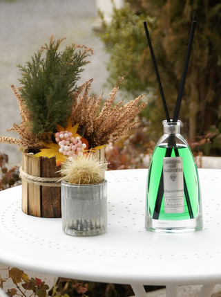Come utilizzare i bastoncini diffusori del tuo profumo d'ambiente Acqua delle Langhe